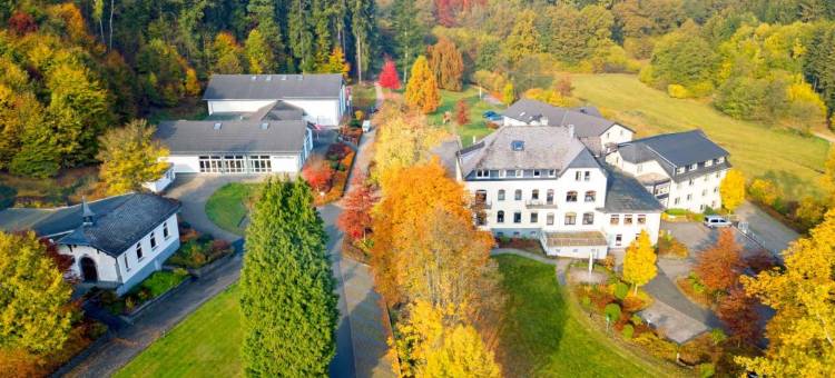 齐根多林特公园酒店(Dorint Parkhotel Siegen)图片