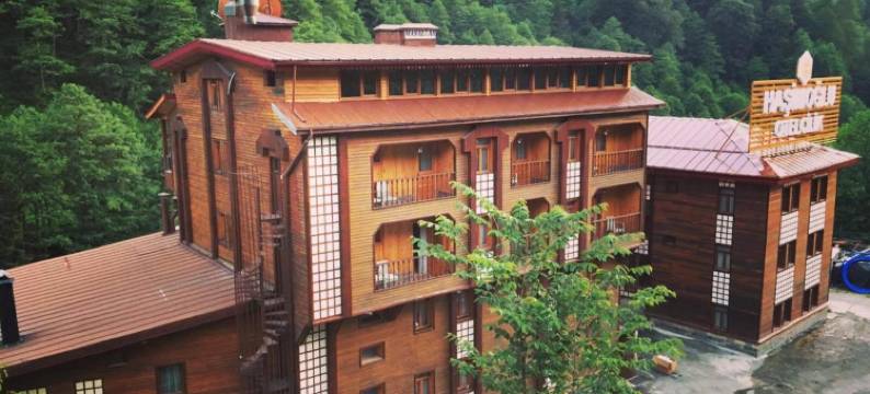 阿伊德尔哈斯莫格鲁酒店(Ayder Hasimoglu Hotel)图片