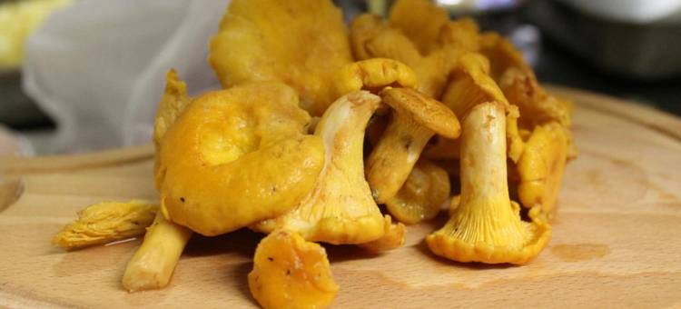 奥贝吉塔酒店(Logis Hotels- Auberge de la Tour - Hôtel et Restaurant)图片