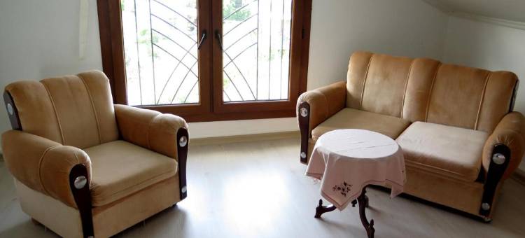 塔维洛古拉里别墅公寓(Tavilogullari Villa Apart)图片