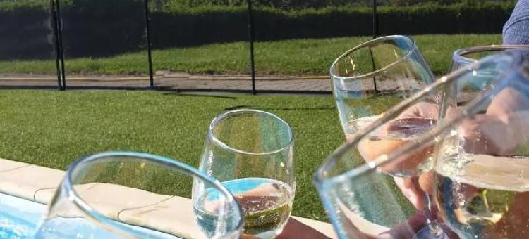 罗格斯艾登拉克酒店(Logis Hotel Eden Lac)图片