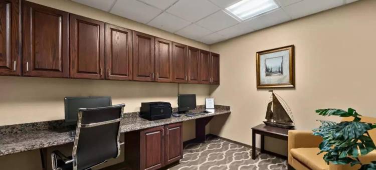 科珀斯克里斯蒂中央舒适套房酒店(Comfort Suites Central)图片