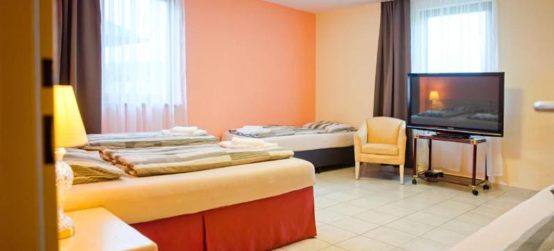 菩提木旅馆(Penzion Putim)图片