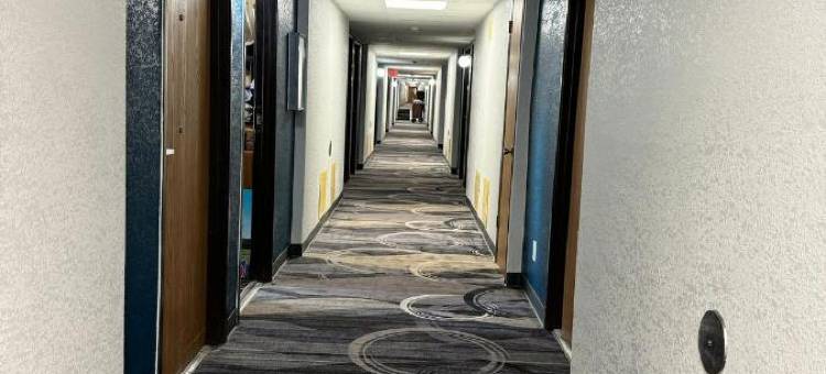 威斯康星州欧克莱尔汽车旅馆(Motel 6 Eau Claire, WI)图片