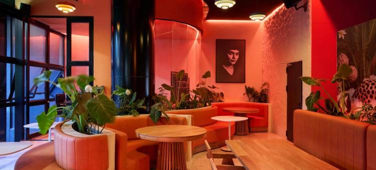 卡列弗洛拉酒店由Jalo管理(Calle Flora Hotel by Jalo)图片