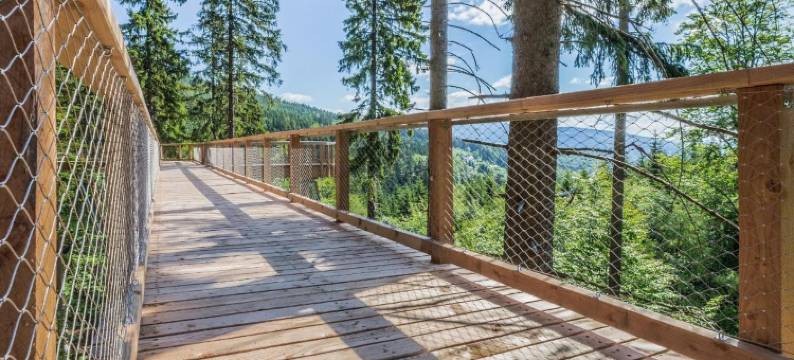 乌帕河畔斯沃博达滑雪酒店(Ski Hotel Svoboda Nad Úpou)图片