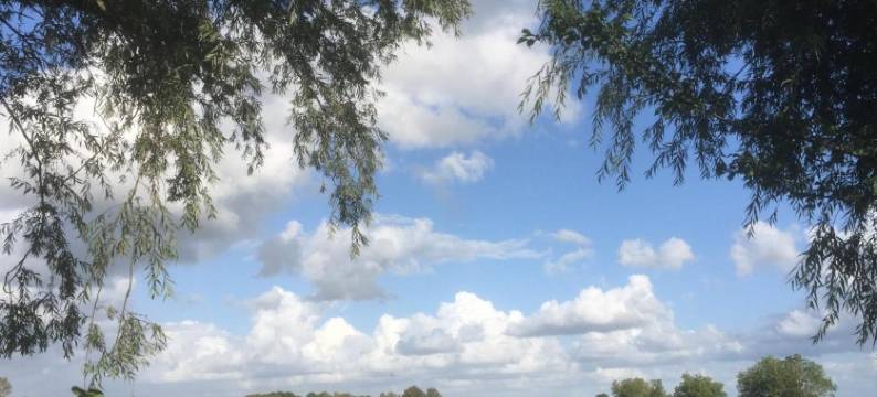 剧院伯格旅馆(Theaterherberg)图片