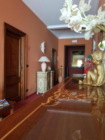 Hotel Damian Park Hotel Delle MagnolieOver view