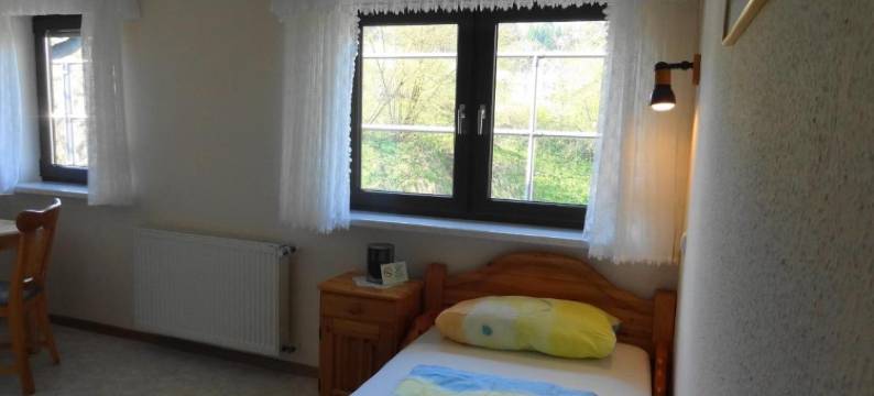 霍恩劳尔宾馆(Gasthof Zum Hohen Lohr)图片