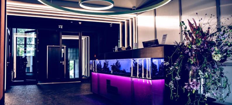 火烈鸟(The Flamingo)图片