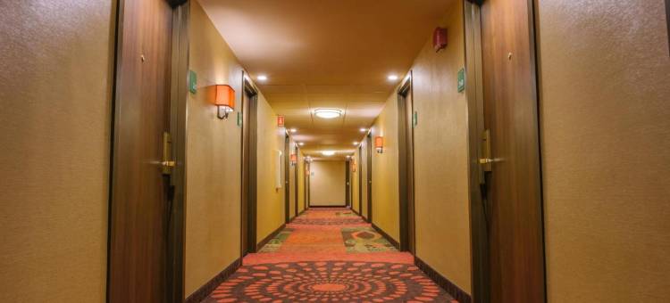 MTK芒特凯斯科酒店(Hotel Mtk Mount Kisco)图片