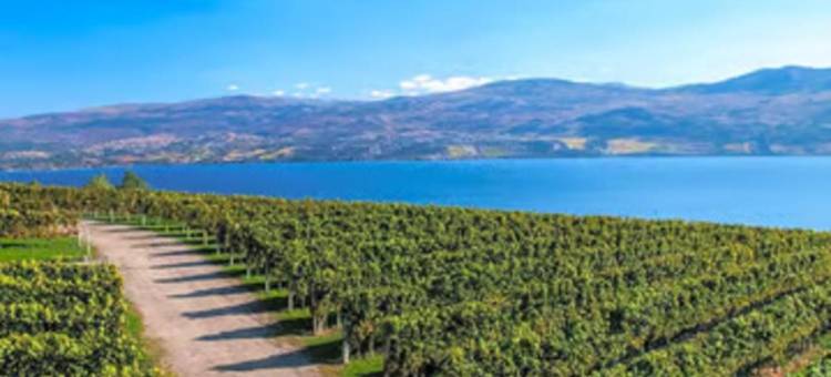 冈萨雷斯温德姆戴斯套房酒店(Days Inn & Suites by Wyndham Gonzales TX)图片