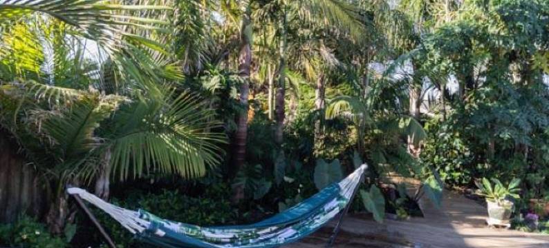 Palm Garden Papamoa Beach Paradise图片