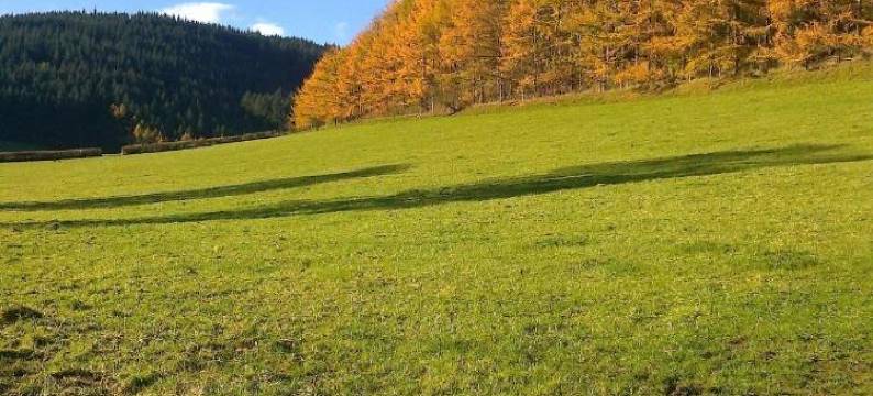 劳雷尔班可住宿加早餐旅馆(Laurel Bank)图片