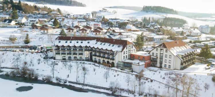 迪美尔西戈贝尔酒店(Göbel's Seehotel Diemelsee)图片