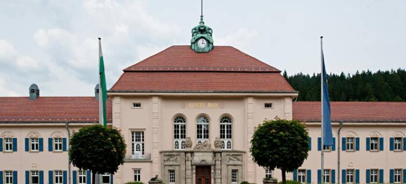 埃尔斯特维斯维塔酒店(Vitalhotel Weisse Elster)图片