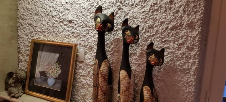 卡里翁酒店(Logis hôtel Restaurant les Carillons)图片