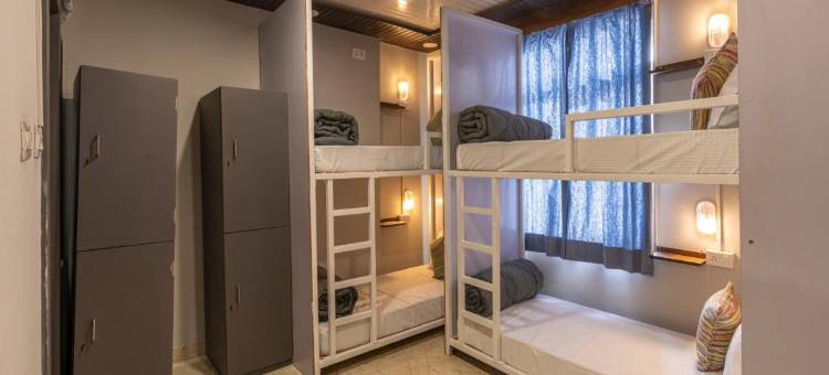 麦德帕克斯齐普尔(Madpackers Jaipur)图片