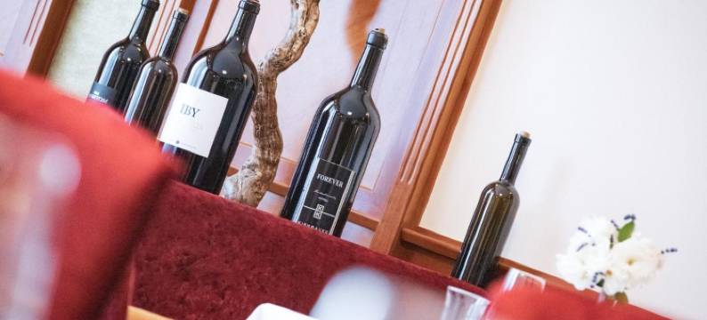 Das Blaufränkisch酒店和餐厅(Das Blaufränkisch Weinhotel & Restaurant)图片