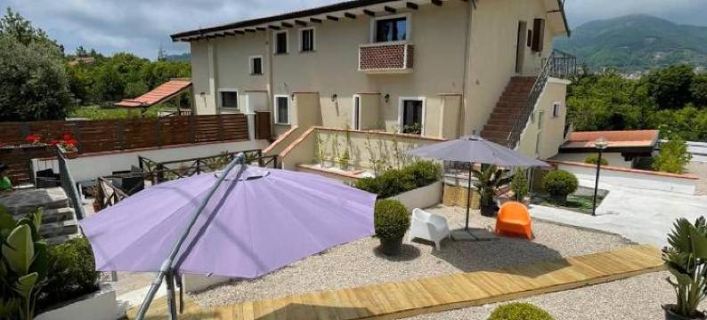 绿色之爱(Greenlove)图片