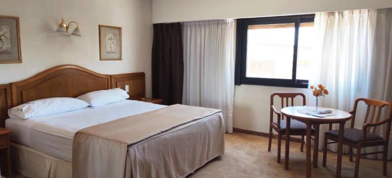 解放者酒店(Hotel Libertador)图片