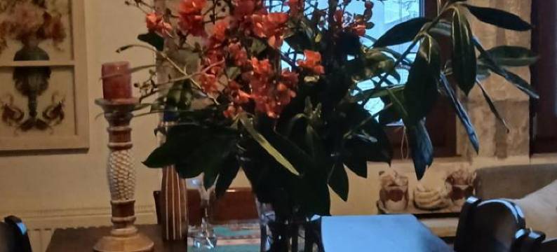 Guesthouse Petrino图片