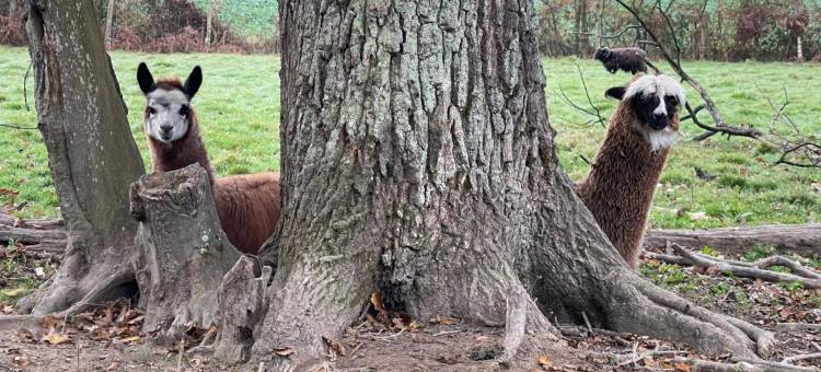 克洛斯圣菲阿克尔酒店(Le Clos Saint Fiacre)图片