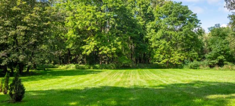 布鲁克斯汽车旅馆(The Brooks Motel)图片