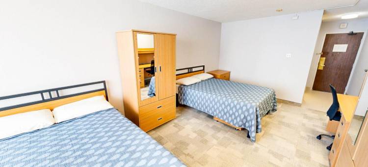 栗树公寓及会议中心-多伦多大学(Chestnut Residence and Conference Centre - University of Toronto)图片