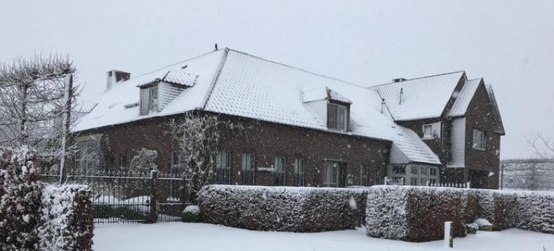 和特维尔特夫住宿加早餐旅馆(B&B Het Welthof)图片