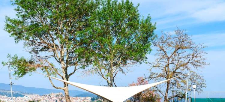 露西酒店(Lucy Hotel)图片