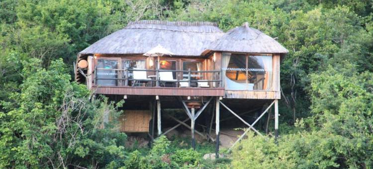 塞雷纳米佛莫河旅馆(Serena Mivumo River Lodge)图片