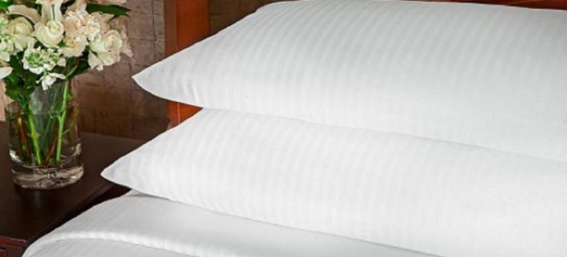 埃弗里特红狮套房酒店(Red Lion Inn & Suites Everett)图片