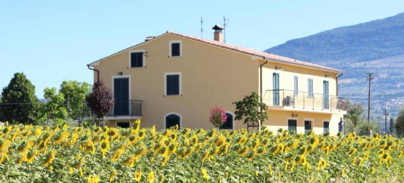 伊尔博德莱迪弗朗切斯科公寓(Il Podere di Francesco)图片