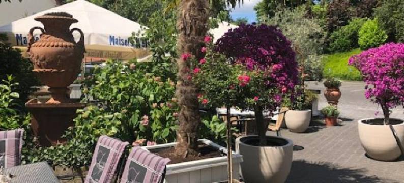 阿佩尔克鲁格酒店(Hotel Gasthaus Appel Krug)图片