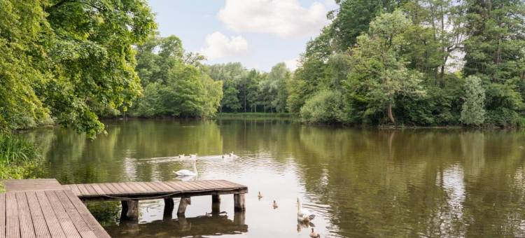 安纳花朵艺术酒店(Arthotel Ana Fleur)图片