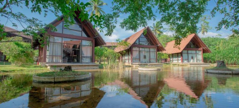 塞莱斯蒂亚阿育吠陀度假村(Celestia Ayurveda Resort)图片