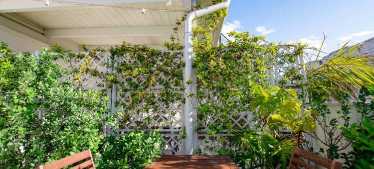 2 bedrooms Penthouse in the city center图片