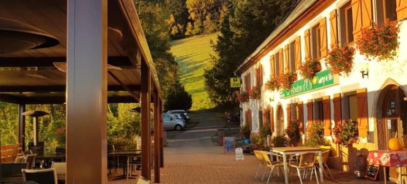 黄金蓓蕾酒店(Le Bouton d'Or)图片