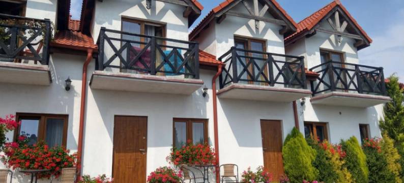 Kamień Bałtyku图片