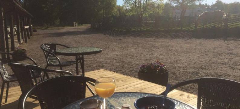 J A Ranch Bed & Breakfast图片