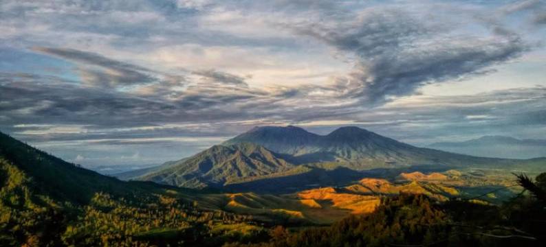 尼萨民宿(Nitha Homestay)图片