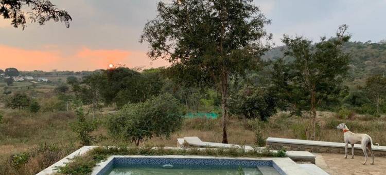 豺狼穴酒店(Dhole's Den Bandipur)图片