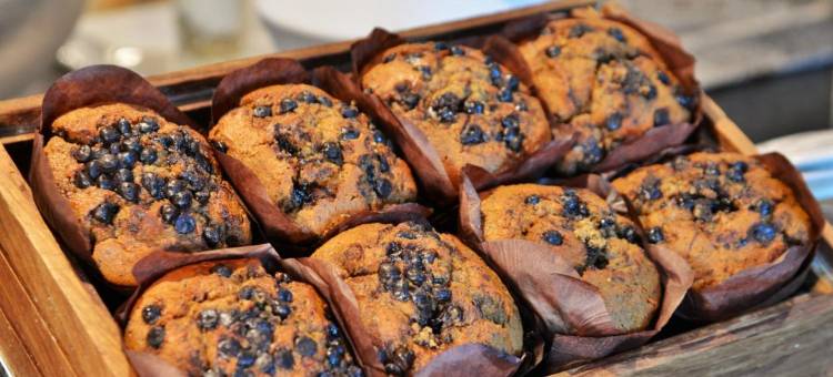 Road Lodge - 利弗尼亚(Road Lodge Rivonia)图片