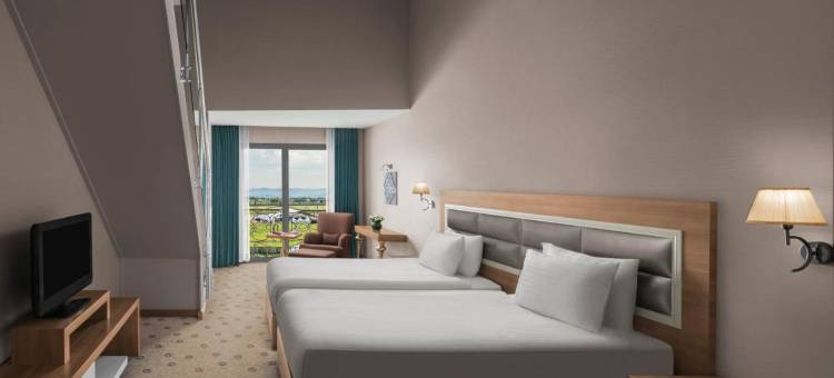 NG阿菲雍康体及会议酒店(NG Afyon Wellness & Convention)图片