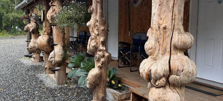 塔尔基特纳别墅和旅游(Talkeetna Villas and Tours)图片