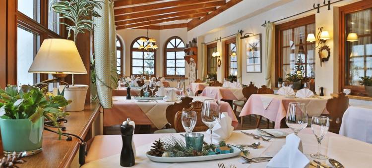 沃尔德布里克尼比斯酒店(Hotel Waldblick Kniebis)图片