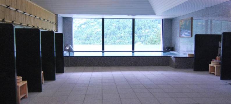 汤元新祖谷温泉蔓桥酒店(Hotel Kazurabashi)图片