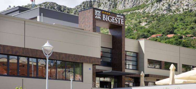 比盖斯特酒店(Hotel Bigeste)图片