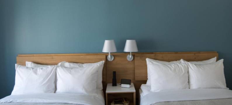 耶鲁大学的学习(The Study at Yale, Study Hotels)图片